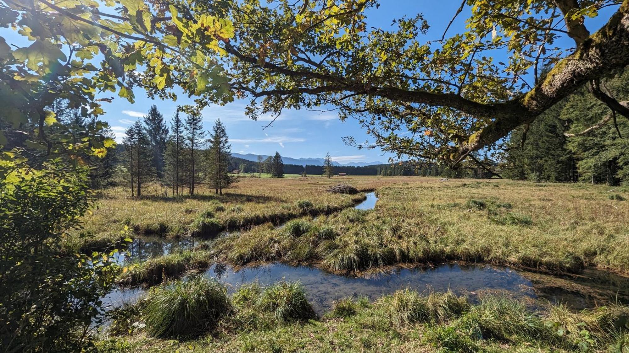 Liboria I Traumhafte Ferienwohnung In Aidling Am Riegsee Mit Atemberaubendem Panoramablick! Buitenkant foto